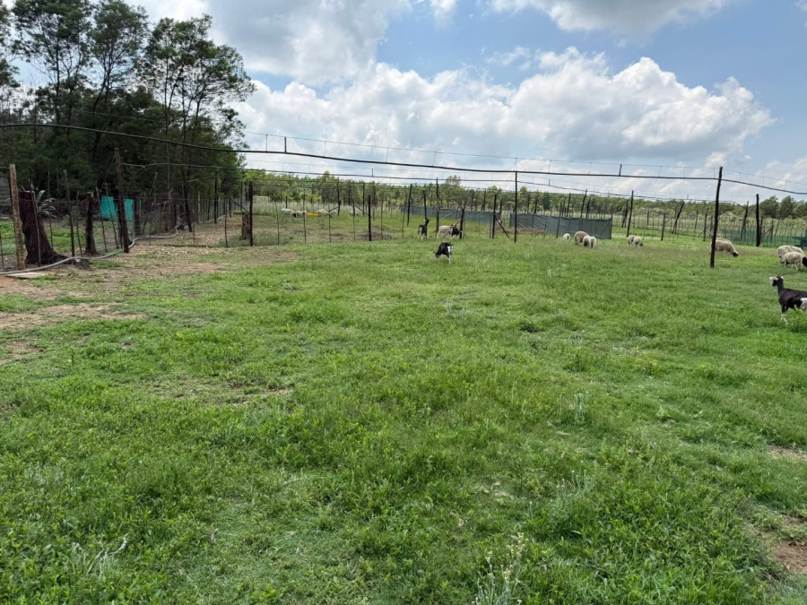 Commercial Property for Sale in Swartruggens North West